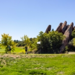 EffectualGolf-168