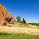 EffectualGolf-171