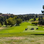 EffectualGolf-204