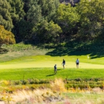 EffectualGolf-215